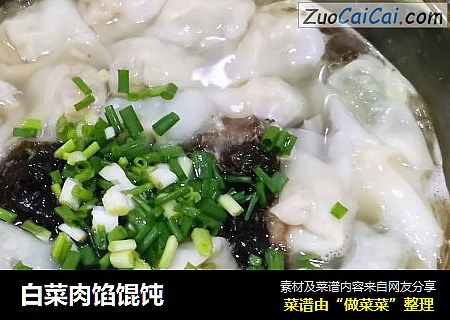 白菜肉馅馄饨