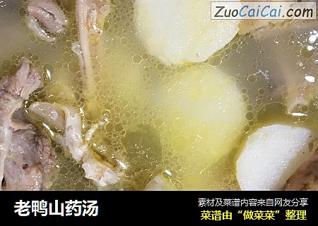 老鸭山药汤