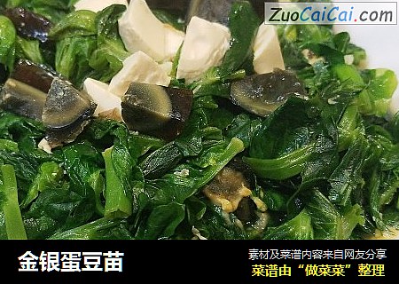 金银蛋豆苗