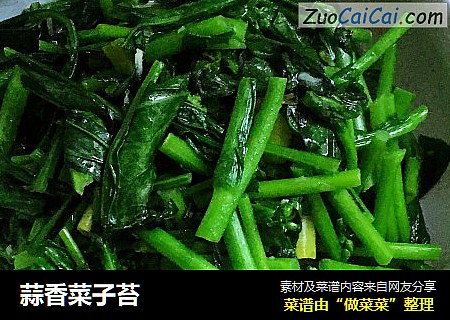 蒜香菜子苔