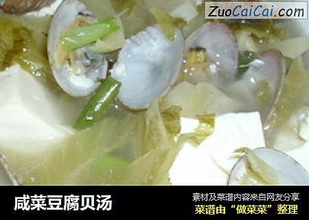 咸菜豆腐贝汤