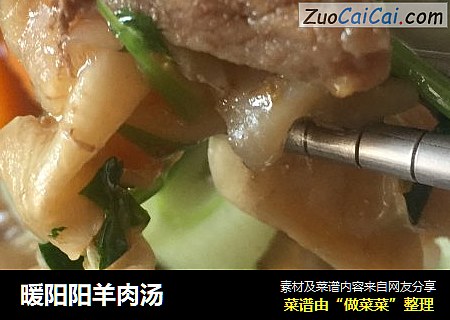 暖阳阳羊肉汤