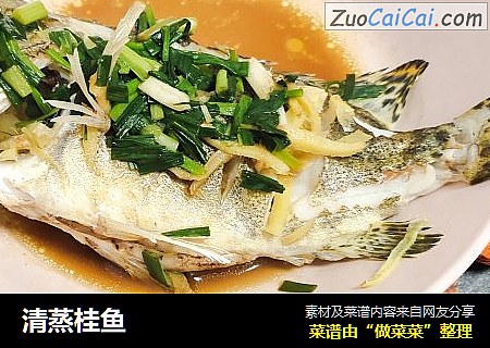 清蒸桂鱼