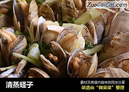 清蒸蛏子