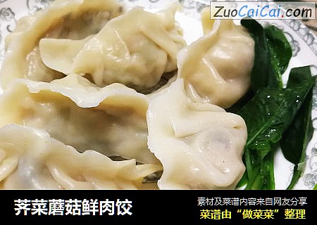 荠菜蘑菇鲜肉饺