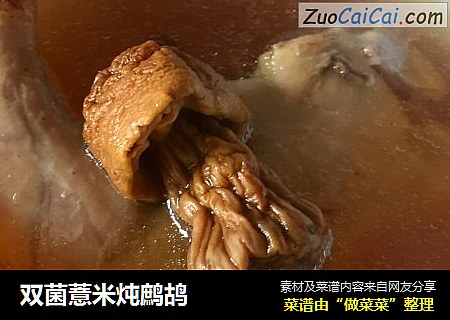 双菌薏米炖鹧鸪