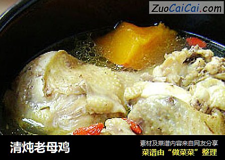 清炖老母鸡