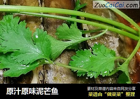 原汁原味泥芒鱼