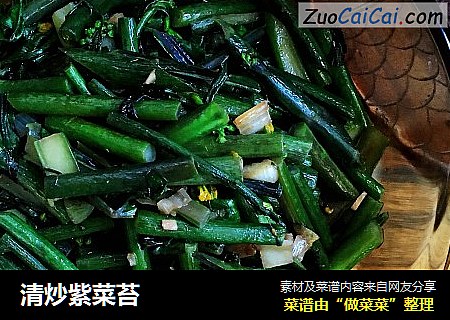 清炒紫菜苔