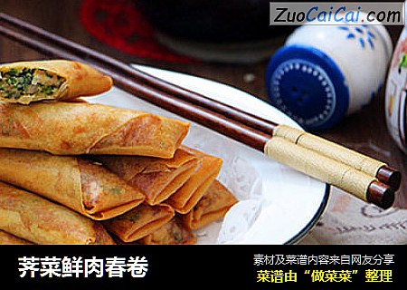 荠菜鲜肉春卷