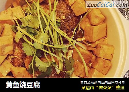 黄鱼烧豆腐