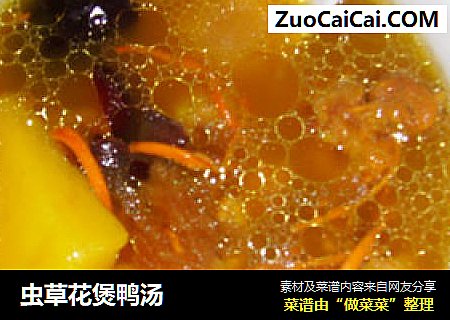 虫草花煲鸭汤