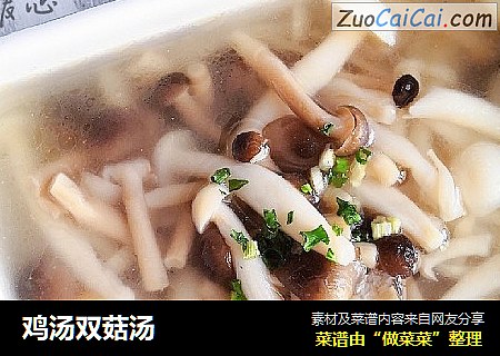鸡汤双菇汤