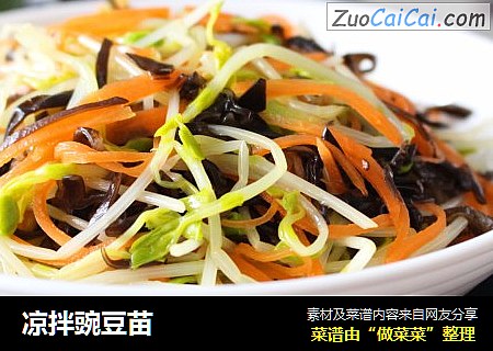 凉拌豌豆苗