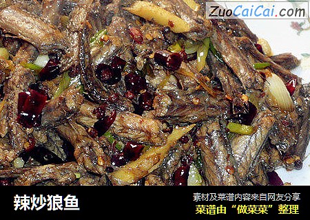 辣炒狼鱼