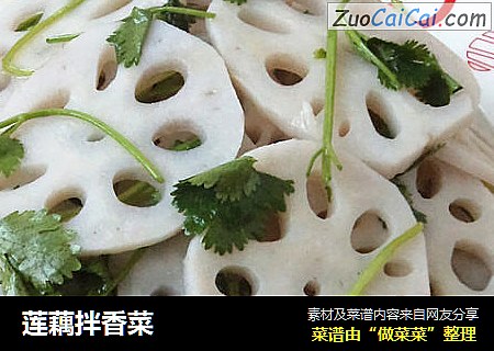 莲藕拌香菜