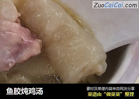 鱼胶炖鸡汤
