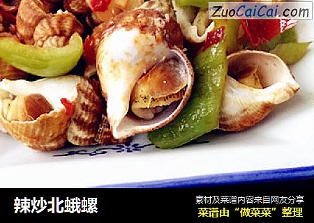 辣炒北蛾螺