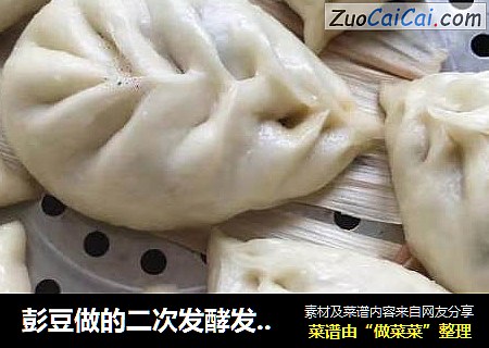 彭豆做的二次发酵发面包子（萝卜丝馅，内附包子包法）