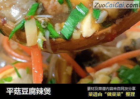 平菇豆腐辣煲