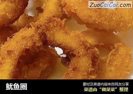 鱿鱼圈
