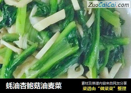 蚝油杏鲍菇油麦菜