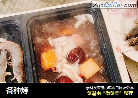 各种烤