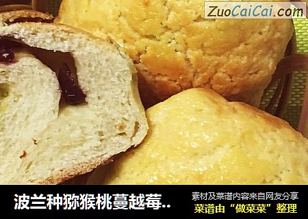 波兰种猕猴桃蔓越莓菠萝包