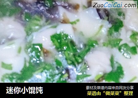 迷你小馄饨