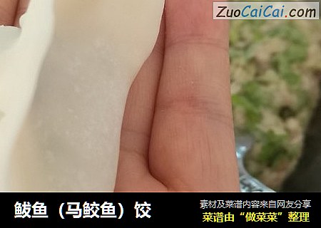 鲅鱼（马鲛鱼）饺