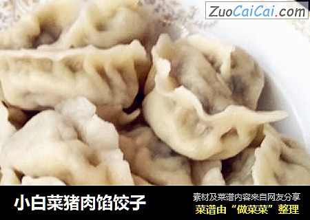 小白菜猪肉馅饺子