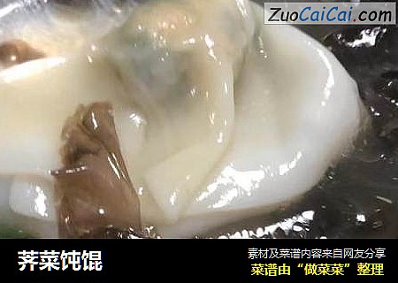 荠菜饨馄