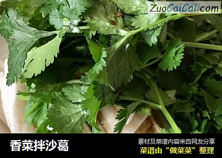 香菜拌沙葛