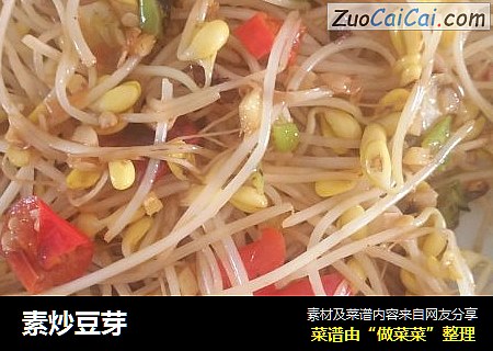 素炒豆芽