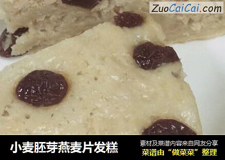 小麦胚芽燕麦片发糕