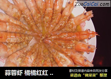 蒜蓉虾 橘橘红红 不可错过