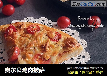 奥尔良鸡肉披萨