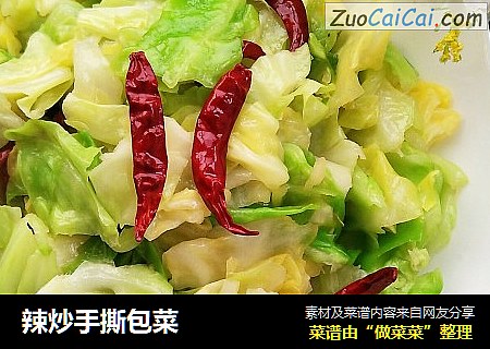 辣炒手撕包菜