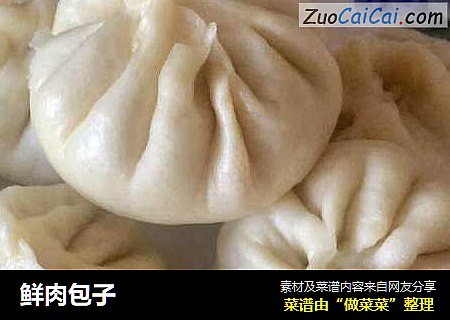 鲜肉包子