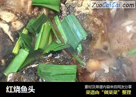 红烧鱼头