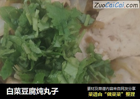 白菜豆腐炖丸子