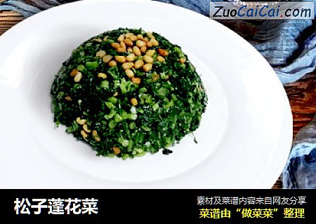 松子蓬花菜