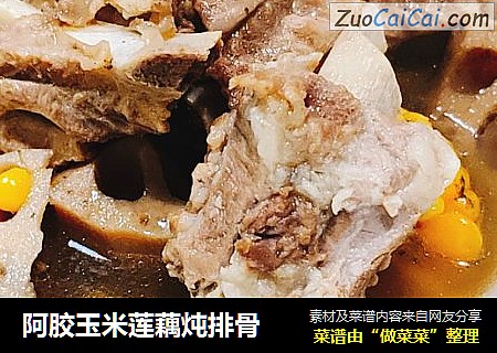 阿胶玉米莲藕炖排骨