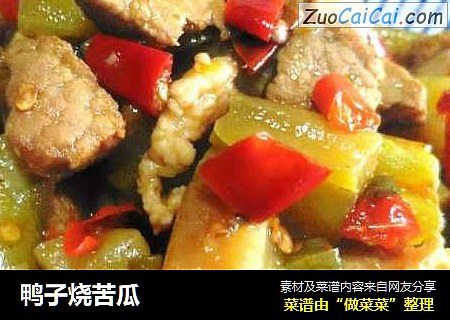 鸭子烧苦瓜