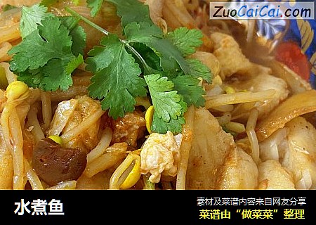 水煮鱼