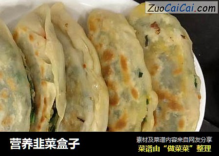 营养韭菜盒子