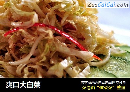 爽口大白菜