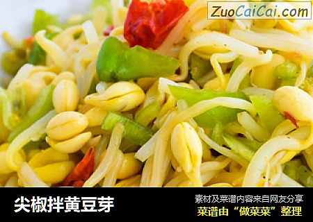 尖椒拌黄豆芽