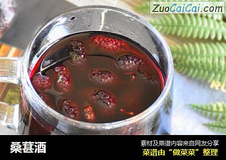 桑葚酒