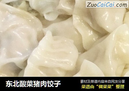 东北酸菜猪肉饺子
